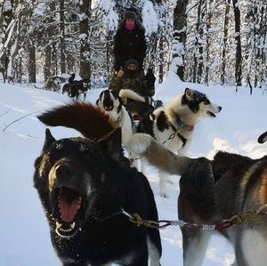 Meet your Posher, Steve-michel